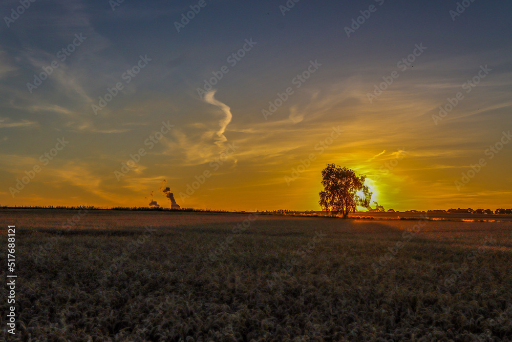 Fototapeta premium sunset in the field