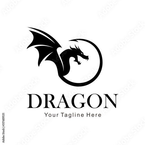 circle dragon logo