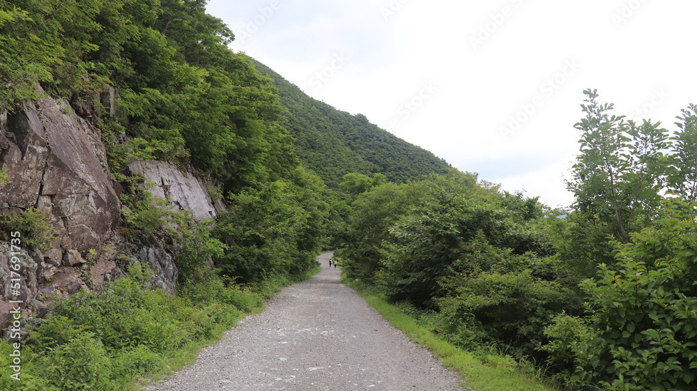 People enjoy hiking in the refreshing forest People enjoy hiking in the refreshing forest