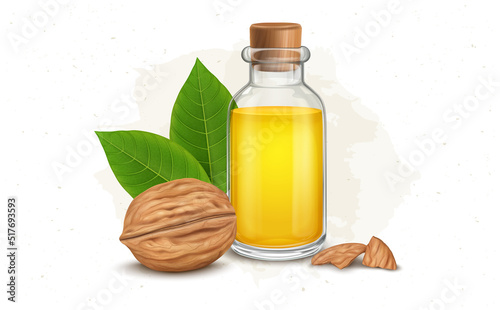 Walnut Fruit vector illustration with walnut oil and green leaves