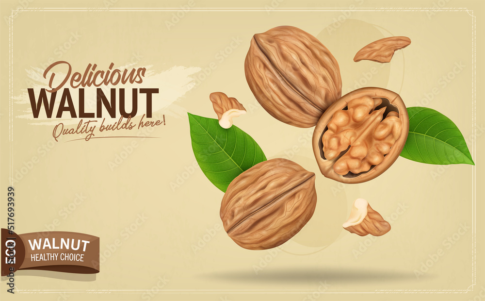 Brown Walnut with half broken walnut and kernel pieces in the air vector illustration