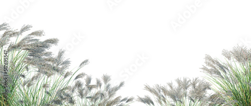 Foreground Grass on a white background