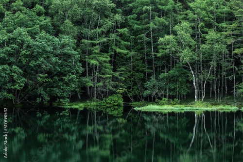 新緑の湖畔の風景　長野県御射鹿池　7月