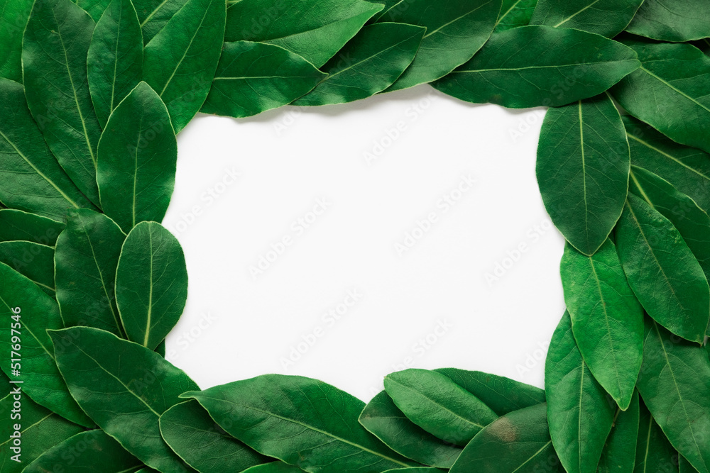 Fototapeta premium green leaves background frame template with while hole in middle photo