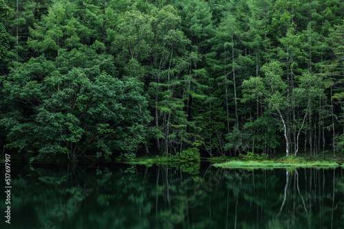 新緑の湖畔の風景 長野県御射鹿池 7月