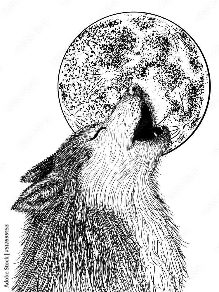 Vector Illustration Of A Wolf Howling At The Moon In Engraving Style Stock Vector Adobe Stock 9484