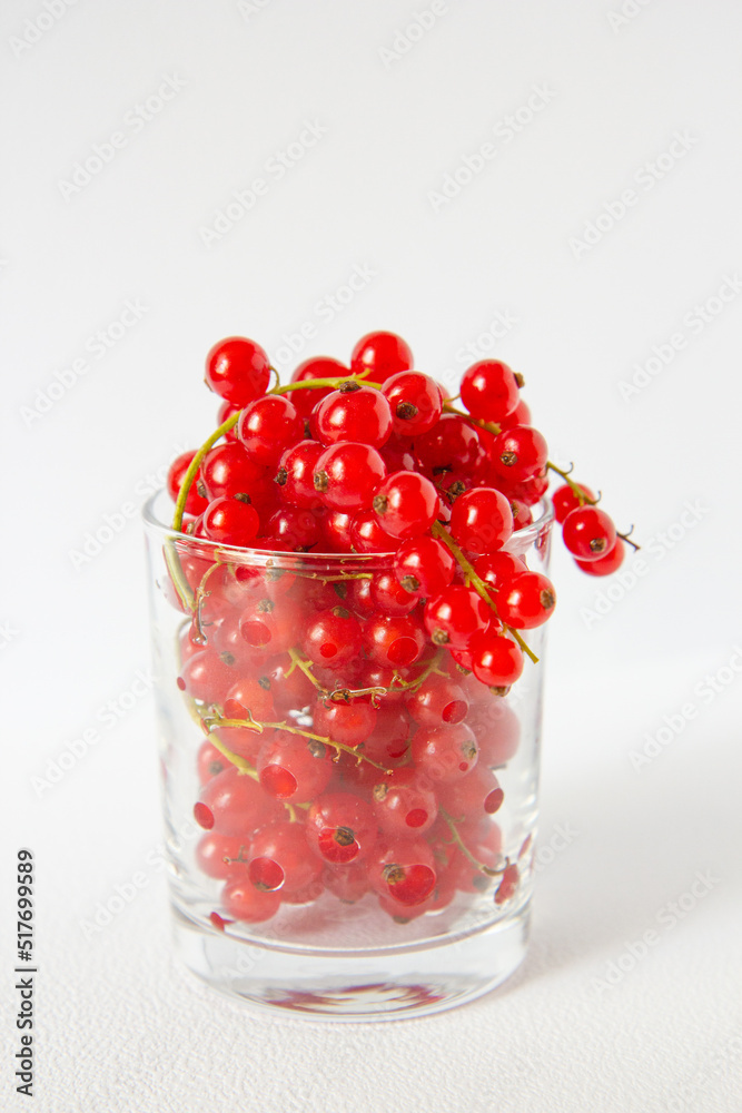 red currants in glass red currants in glass