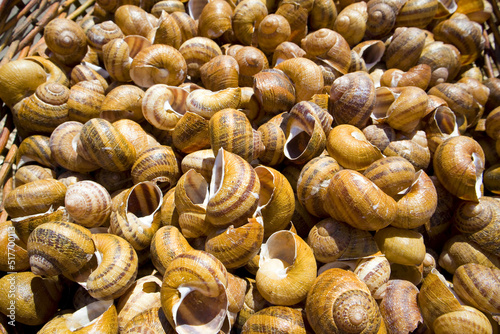Top view of delicious cooked snails 