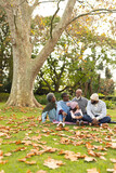 Vertical image of happy african american multi generation family in autumn garden