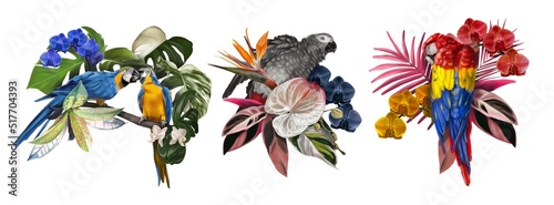 Set tropical bouquet with parrots. Ara and Grey parrot. Colorful watercolor illustration