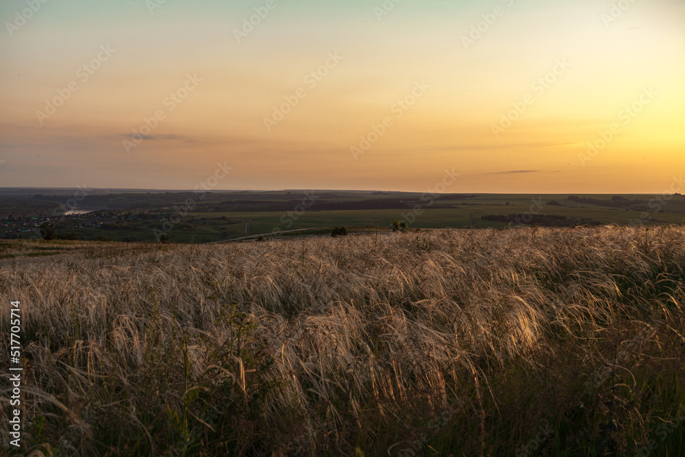 A sunny sunset.Dramatic sunset over the horizon. Above the meadows. Red sky background. beautiful rays of the sun.Landscape	