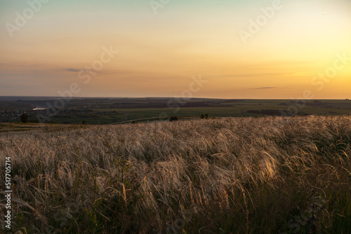 A sunny sunset.Dramatic sunset over the horizon. Above the meadows. Red sky background. beautiful rays of the sun.Landscape 