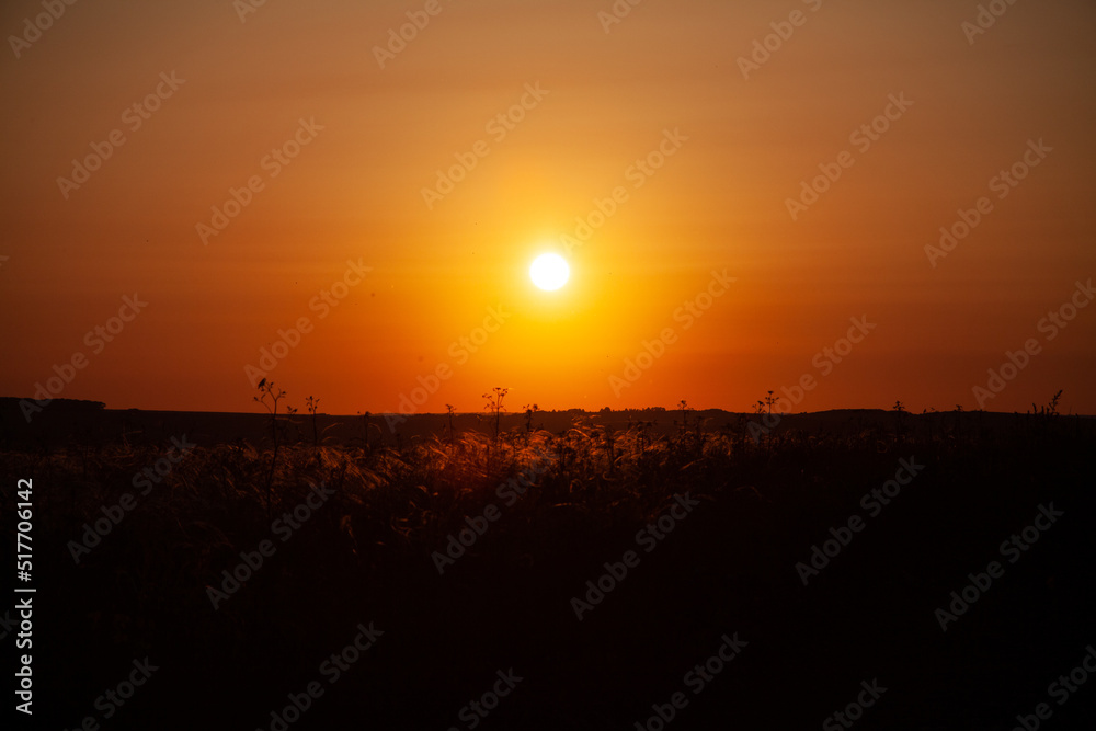 A sunny sunset.Dramatic sunset over the horizon. Above the meadows. Red sky background. beautiful rays of the sun.Landscape	
