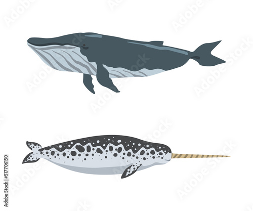 Oceanic and sea animals set. Sword fish, whale marine inhabitants cartoon vector illustration