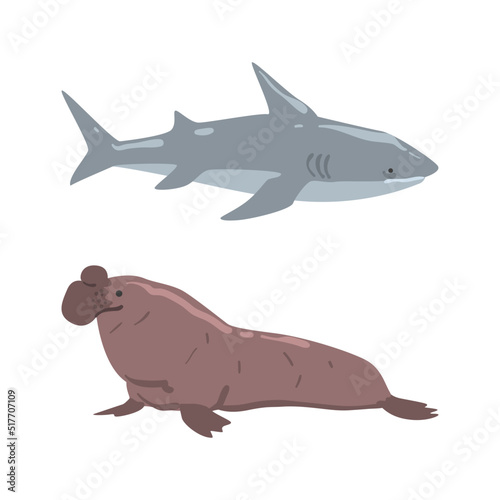 Oceanic and sea animals set. Shark, seal marine inhabitants cartoon vector illustration