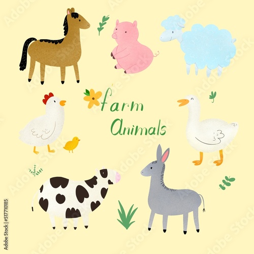 Farm animals 