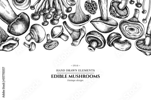Design with black and white oyster mushroom, champignon, honey agaric, etc.