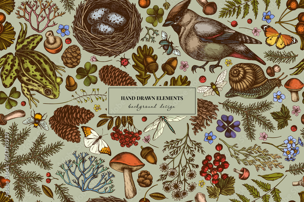 Mysterious forest seamless pattern background design. Engraved style. Hand drawn waxwing, snail, nest, pool frog, moss, spruce branch, pine cones, chamomile, insect, aspen mushroom, red currant, oak