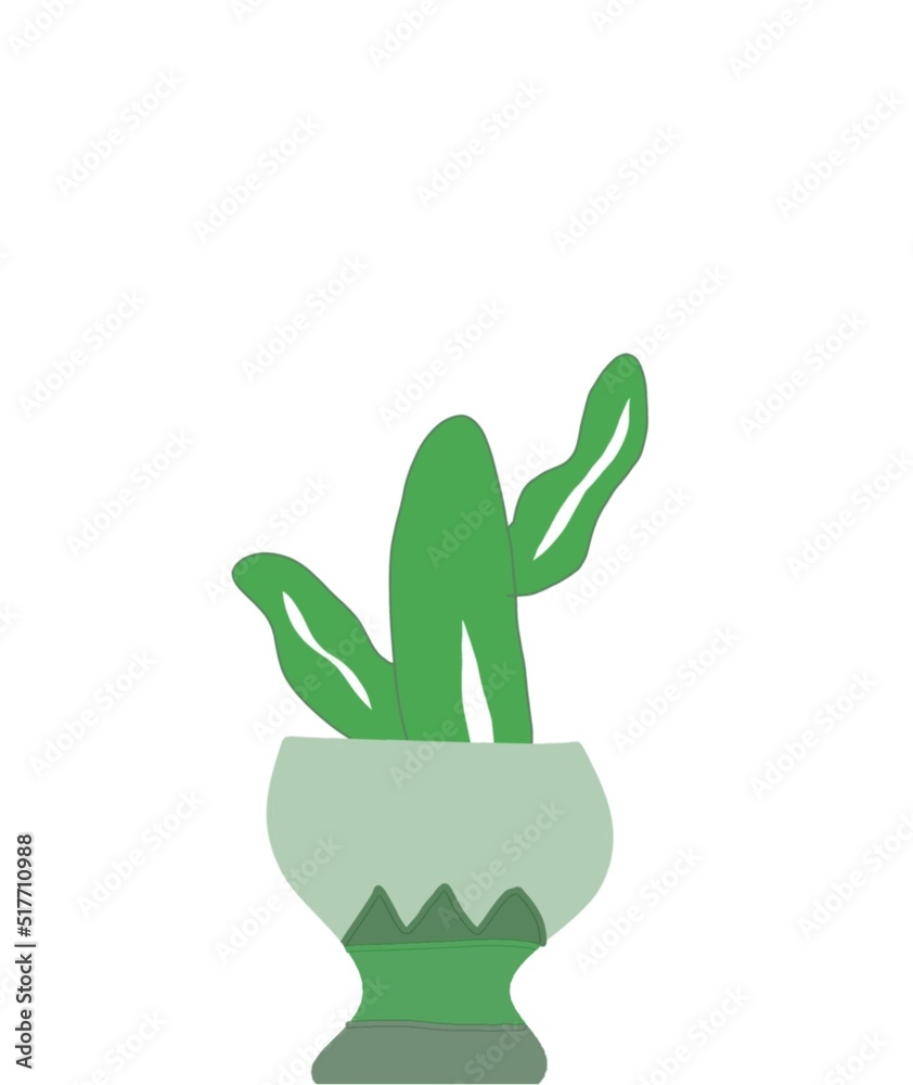 Obraz premium cactus in a pot