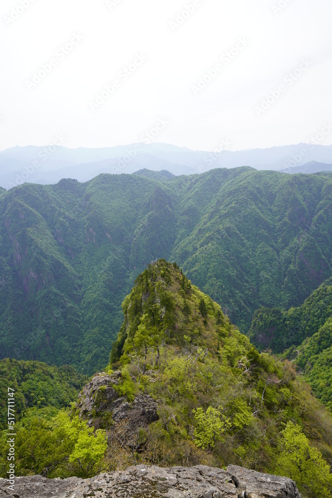 Fototapeta premium 熊野の山々新緑萌えるとき 大蛇嵓