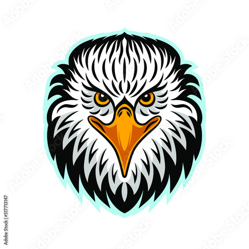 Vector illustration of Bald eagle. Eagle head on white background. Can be used as mascot. For tattoo or T-shirt design or outwear. © Dreams_and_Travels