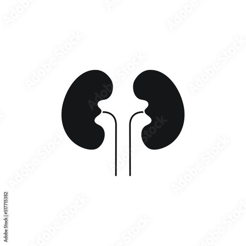 kidney vector for website symbol icon presentation