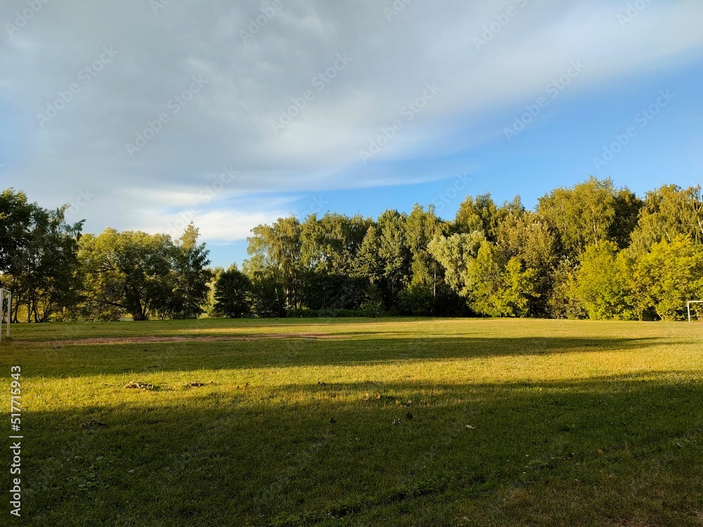Field near the forest