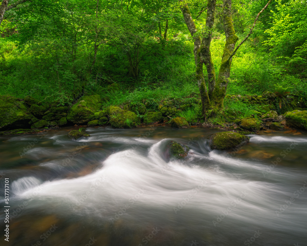 Fast moving waters in a river surrounded by oak trees Fast moving waters in a river surrounded by oak trees
