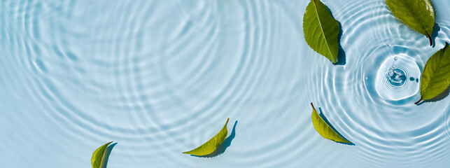 Transparent and clean blue water and green background of natural leaves