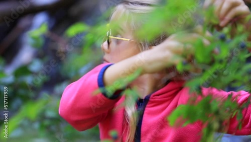 Cute blond Girl is surprised and eating wild blueberries berries in the forest during hiking trip in American Northwest near Seattle