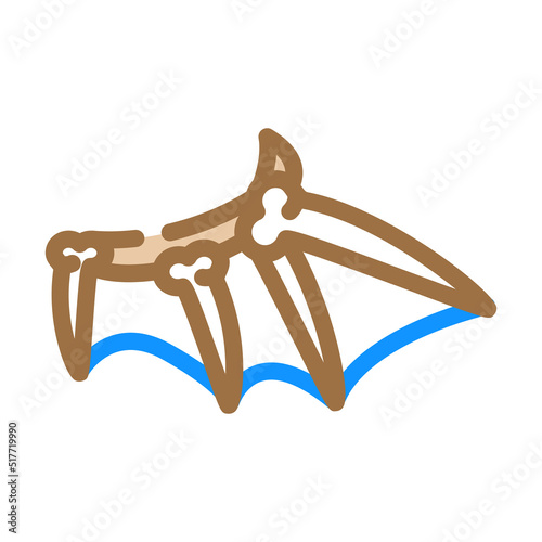 bones of wing color icon vector. bones of wing sign. isolated symbol illustration