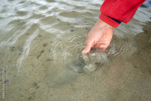 Ko Phangan, Thailand, March 15, 2022: person collecting clams from the sand