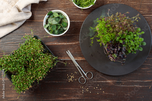 Assorted microgreens in growing containers and in small bowls. Flatlay on a dark wooden background