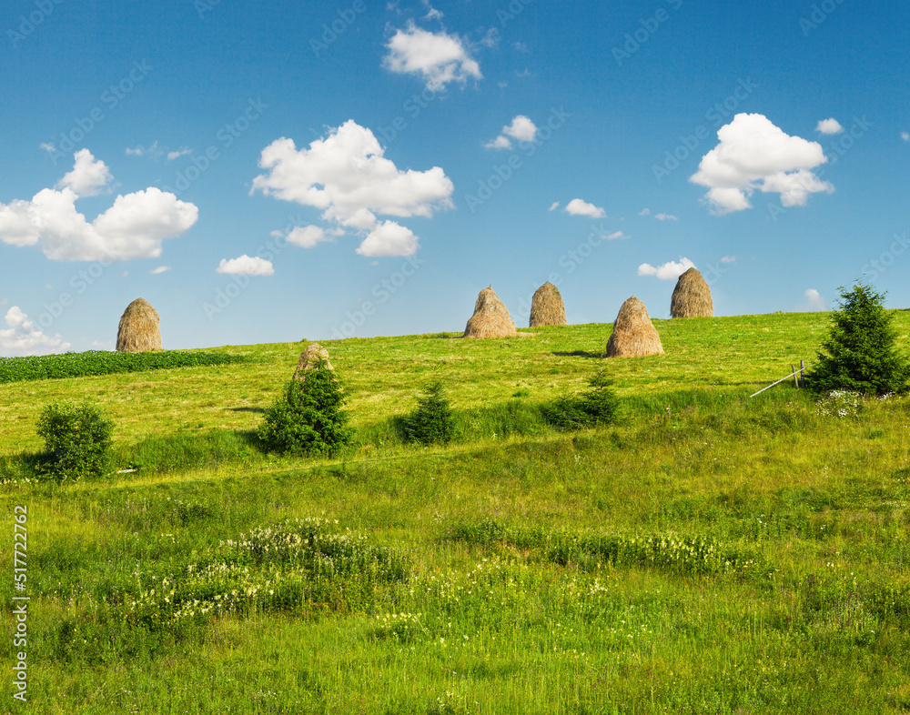 Summer mountain rural view with haystacks (Carpathian, Ukraine)