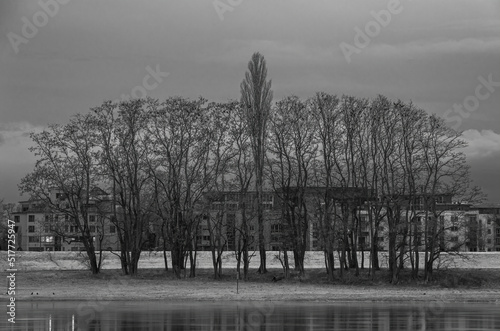 Dresden-Johannstadt hinter Bäumen photo