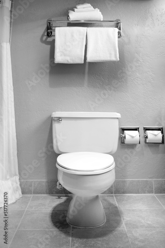 Bathroom Toilet Towels Modern Hygene