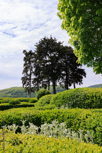 Marquyssac gardens near Beynac along Dordogne river in Perdigord region in France photo