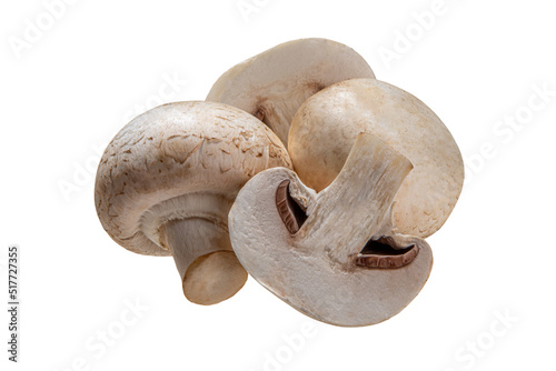 Champignon mushrooms on white