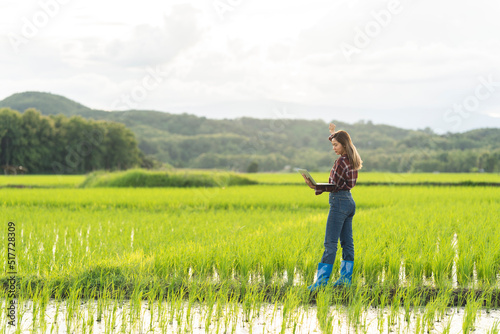 An Asian female farmer with a laptop walks through the fields. In the evening with warm light.