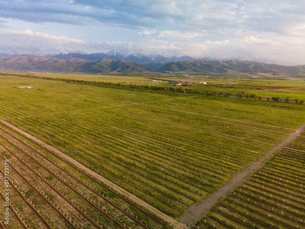 Fantastic landscape, aerial photography from a plowed field with mountains in the background. Issyk fields are not far from Almaty.