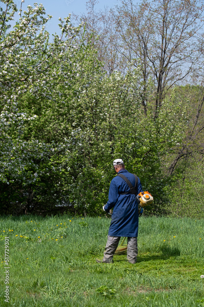 A man mows grass with a trimmer in the garden in spring.
