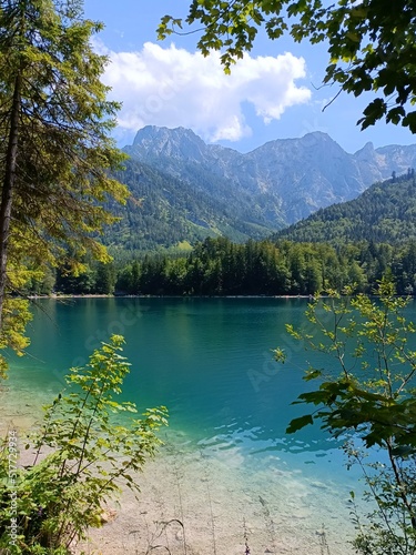 Emerald lakes water with mountain view and fresh green leaves in Austria © Tatiana