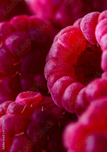 Raspberry fruit macro photography © Ekaterina