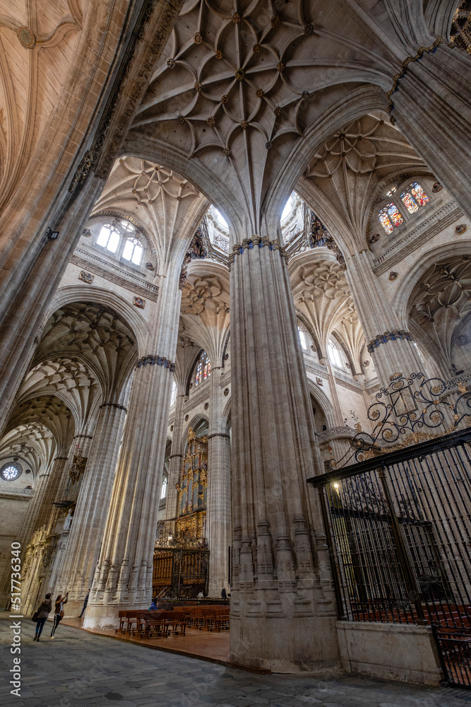 Catedral de la Asunción de la Virgen, Salamanca,  comunidad autónoma de Castilla y León, Spain