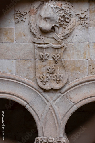 patio de la casa de las Conchas, Salamanca, comunidad autónoma de Castilla y León, Spain