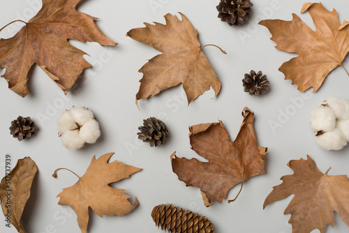 Flat lay composition with autumn leaves on color background, top view