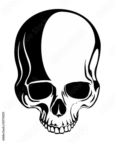 Black and white human skull vector image. Isolated on white background.