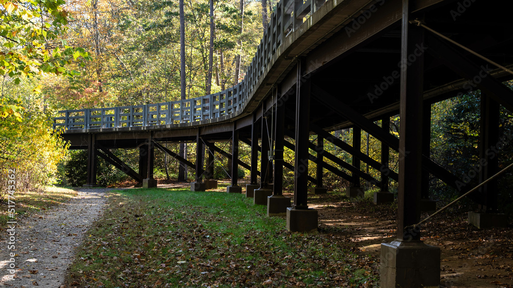 Elevated Roadway in the Autumn Woods