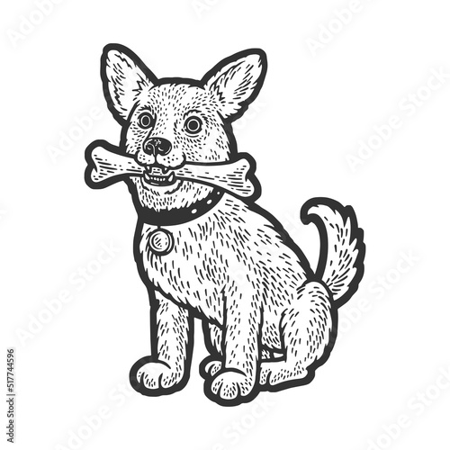 dog with a bone in his teeth sketch engraving vector illustration. T-shirt apparel print design. Scratch board imitation. Black and white hand drawn image.
