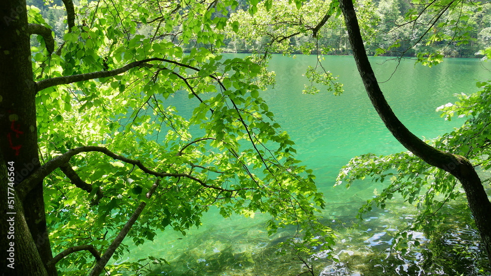 smaragdgrüner Thumsee im Nationalpark Berchtesgaden smaragdgrüner Thumsee im Nationalpark Berchtesgaden